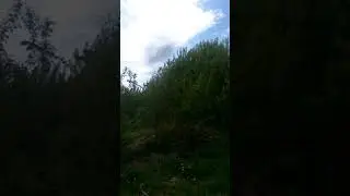 Нашествие комаров в Чкаловске на реке Волга