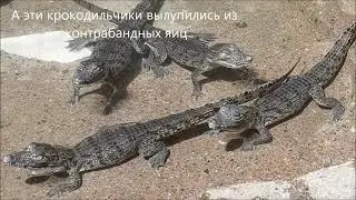 Ташкентский зоопарк
