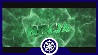 NinjaReborn's Intro ~AerialFX