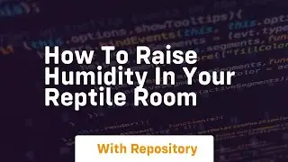 How to raise humidity in your reptile room