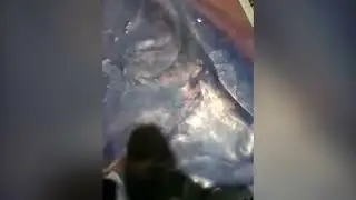 Выколотка по меди