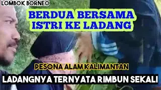 Suasana Pedesaan Kalimantan Saat Berdua Bersama Istri Di Ladang Mertua Panen Kangkung