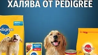 ХАЛЯВА Корм для собак !