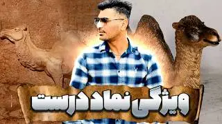 ویژگی های نماد درست در گنج یابی و دفینه یابی