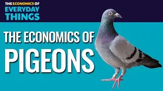 61. Pigeons | The Economics of Everyday Things