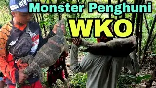 🆘 ADA LAPORAN WARGA.‼️.TERNAKNYA SERING DI GANGGU HAMA BIAWAK.