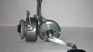 IKAN KALOI...PANCING BERSAKA!!!!