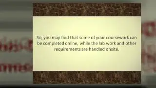Biomechanical Engineering Degree Programs