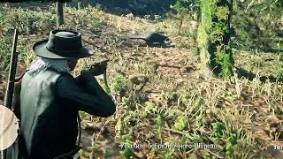 Бобёр Ночной Шорох Легендарные животные - Red Dead Online