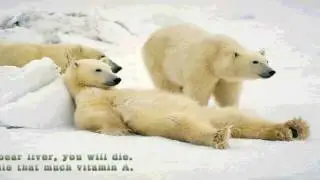 Amazing and Mind Blowing Facts