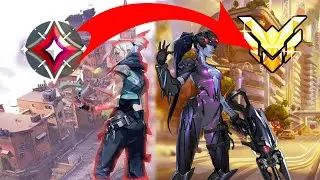 The Immortal Experience In Overwatch 2