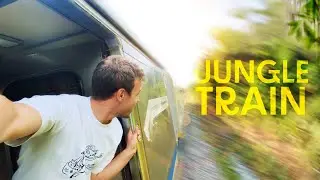 16 HEURES de JUNGLE TRAIN pour TRAVERSER la MALAISIE (Asie Vlog & Itinéraire) #7
