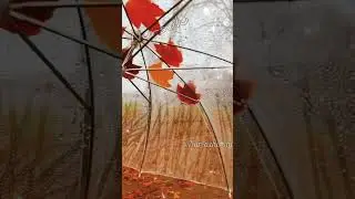 25 сентября 2023 г.