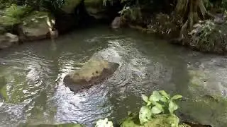 TEMPUK DUA KALI