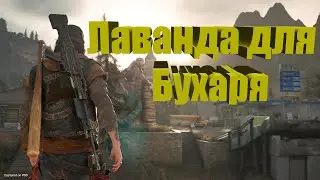 Жизнь После  ➤ Лаванда для Бухаря !!!