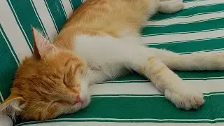 Fizyoterapistli Termal Otel 🤌