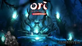 Ori And The Blind Forest Walkthrough 13