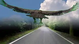 eagle short film using capcut rotoscoping