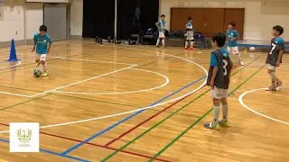 Astera #25