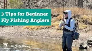 3 Tips for Beginner Fly Fishing Anglers