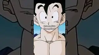 Do you like Gohan and Videl as a couple? 