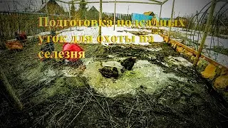 Подсадные утки для охоты//Decoy ducks for hunting