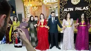 Hasan Çelik & Rojbin Abi. Kına Gecesi. Halay 3. 26.06.2024