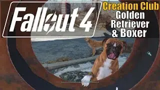 Fallout 4 - Golden Retriever & Boxer (Creation Club Reviews)