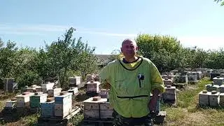 Август актуальная информация