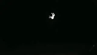 Spider in the torchlight