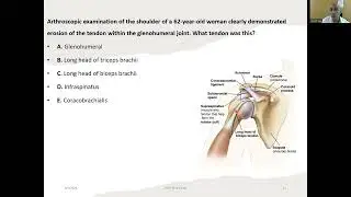 MCQ Joints of the upper limb (5)