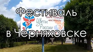 Черняховск. Фестиваль "Цветы России" (2024)