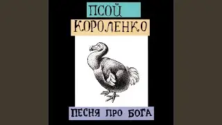 Под покровом нощи