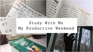 Study With Me №12 | Motivation | Learn Languages With Me | Мои продуктивные выходные | ЗНО