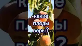 #новости #вера #рекомендации #бог #фильм #топ #библия #психология #шортс #салтаненко #церковь