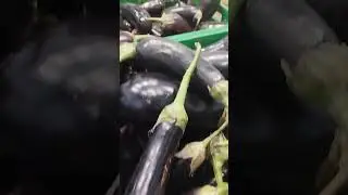 Баклажан.Цена.Магазин Велмарт#баклажан#цена#велмарт