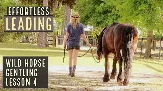 Leading | Wild Horse Gentling | Lesson 4