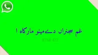 Bichad Gaya Mere Dil Da Jani WhatsApp status green screen video  free video download