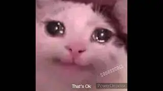 1 hour of meme songs!