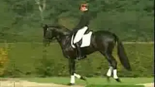 Sandro Hit