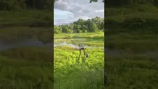 КОГДА НЕМНОГО ПЕРЕБРАЛ!