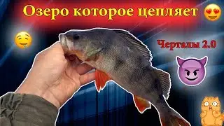 Озеро которое цепляет. Окунь и щука о.Черталы