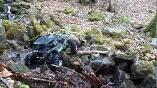 Axial wraith video comp.