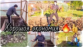 Дача:Новая земля в теплице/Последний урожай👍🍂☕️.