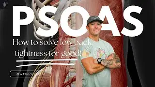 Low back fix. Release your Psoas