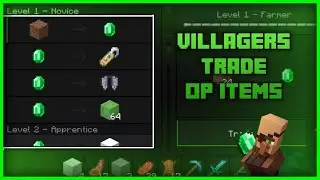 Minecraft, But Villagere Trade Op Items |