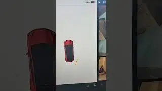 Tesla Model Y Park Assist Demo #tesla #automobile #parkassist