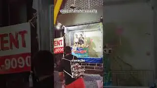 Esse jogo pode te ajudar 🎰