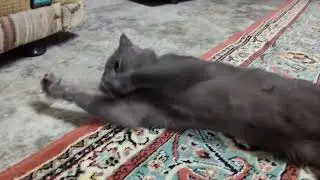 Temas bağımlısıyım 