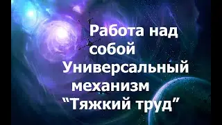 Универсальный механизм похода к духовности. Так ли всё сложно? 2024.05.21